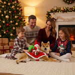Disfraz Navideño "Santa Rider" para Perros y Gatos