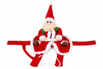 Disfraz Navideño "Santa Rider" para Perros y Gatos