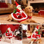 Disfraz Navideño "Santa Rider" para Perros y Gatos