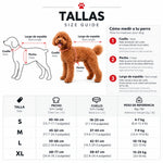 Disfraz Navideño "Santa Rider" para Perros y Gatos